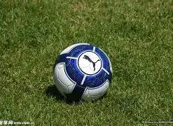 开运体育网,页版,产品,开云体育,开云体育官网,开云体育app,开云体育平台,KAIYUN,SPORTS,kaiyun登录入口