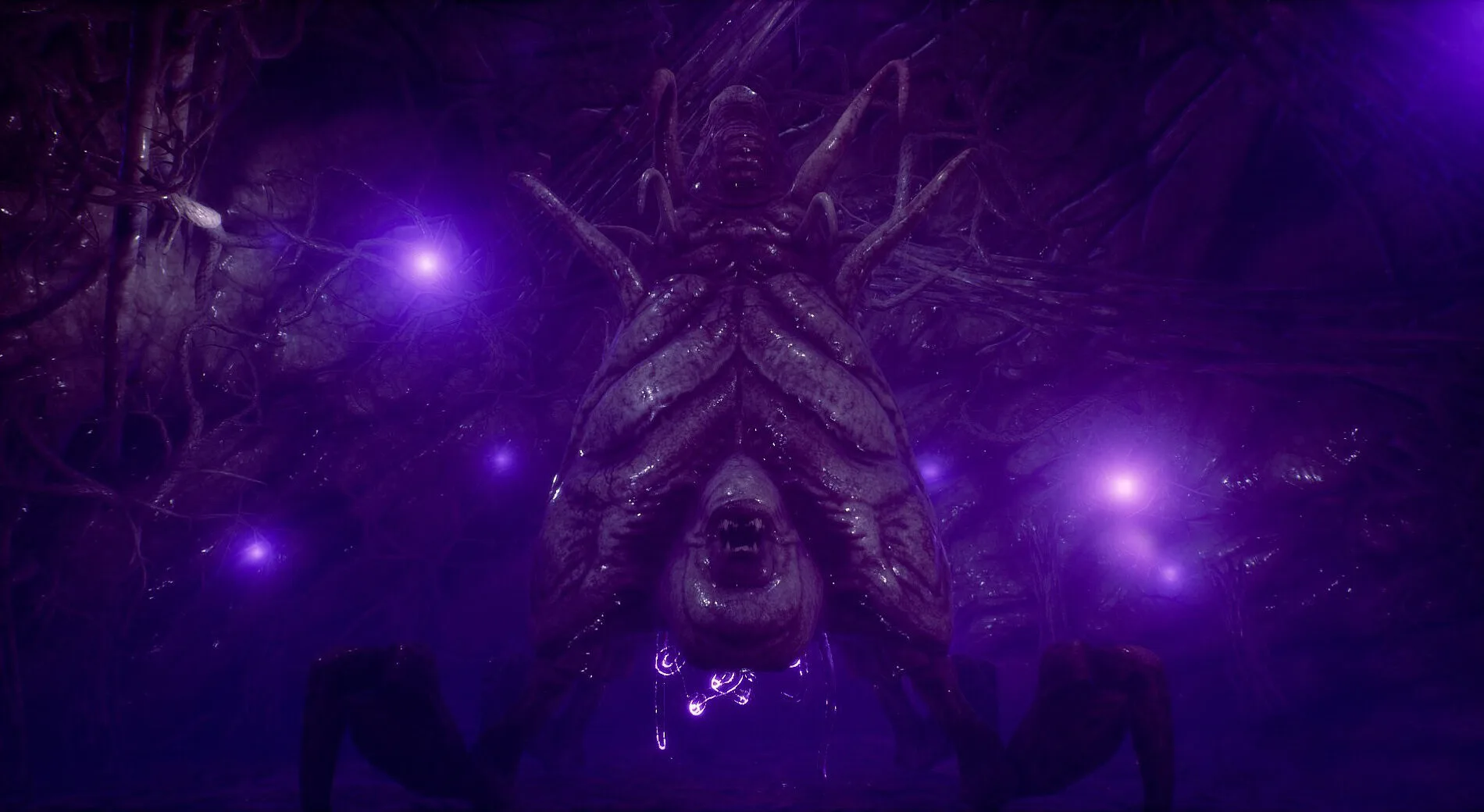 埃克塞特城,对阵林肯城,领头羊遭遇,开云体育,开云体育官网,开云体育app,开云体育平台,KAIYUN,SPORTS,kaiyun登录入口